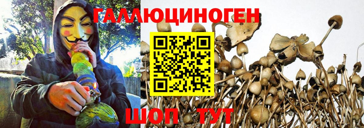 Бор  Галлюциногенные грибы GOLDEN TEACHER  Вход с VPN 