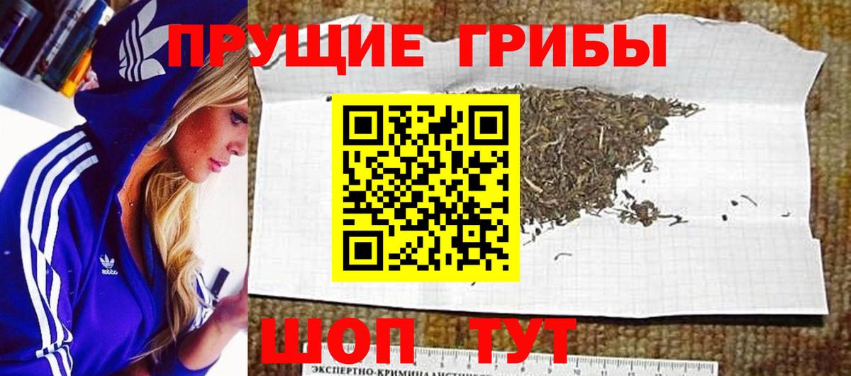Галлюциногенные грибы Magic Shrooms Бор